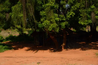 DSC_8499 (Large).JPG